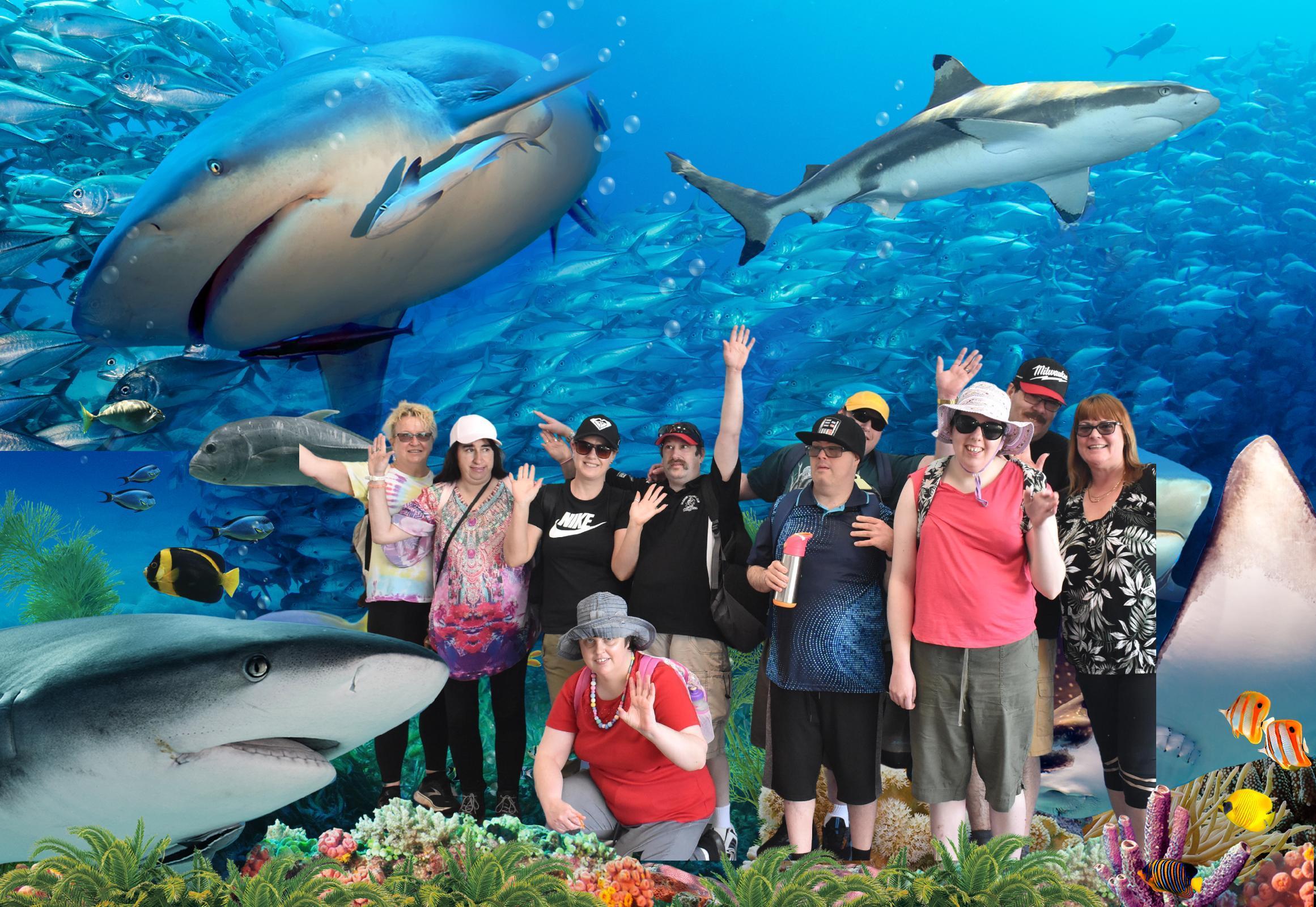 Jodie Bunyan - Seaworld